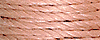 9034 - Medium Neutral Flesh