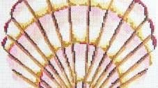 Scallop Shell 9.25" x 10" - 13 mesh