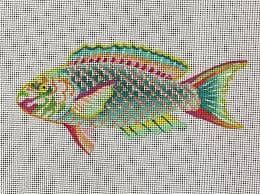 Rainbow Fish 7 x 3.5 18M