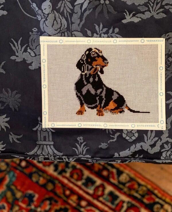 PIP-0178 Mini Dachshund