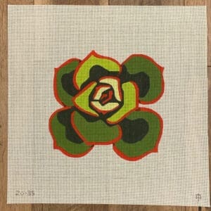 Succulent-12" Square-13 Mesh