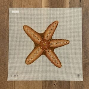Brown Starfish-12" Square-13 Mesh