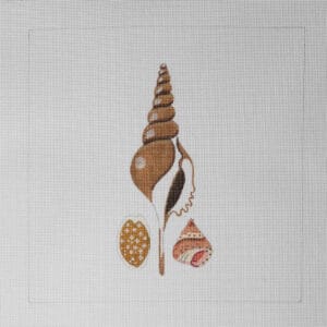 Three Shells-12" Square-13 Mesh