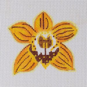 Yellow Orchid Mini-4” x 3 1/2"-13 Mesh