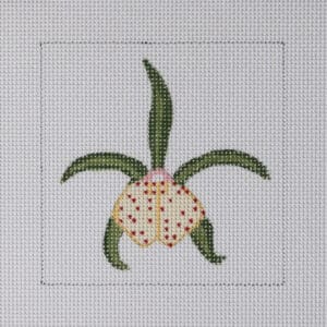 Green Orchid Mini-3 1/4" x 4"-13 Mesh